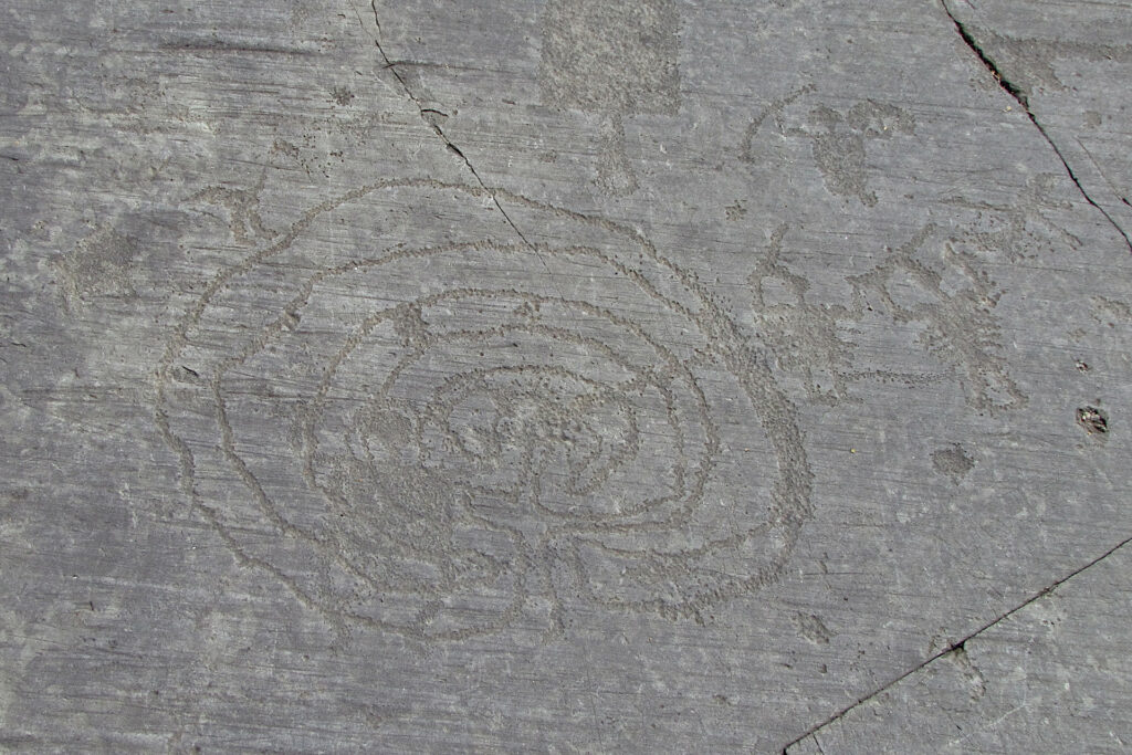 Fotografia del labirinto inciso sulla roccia 1 del Parco di Naquane
