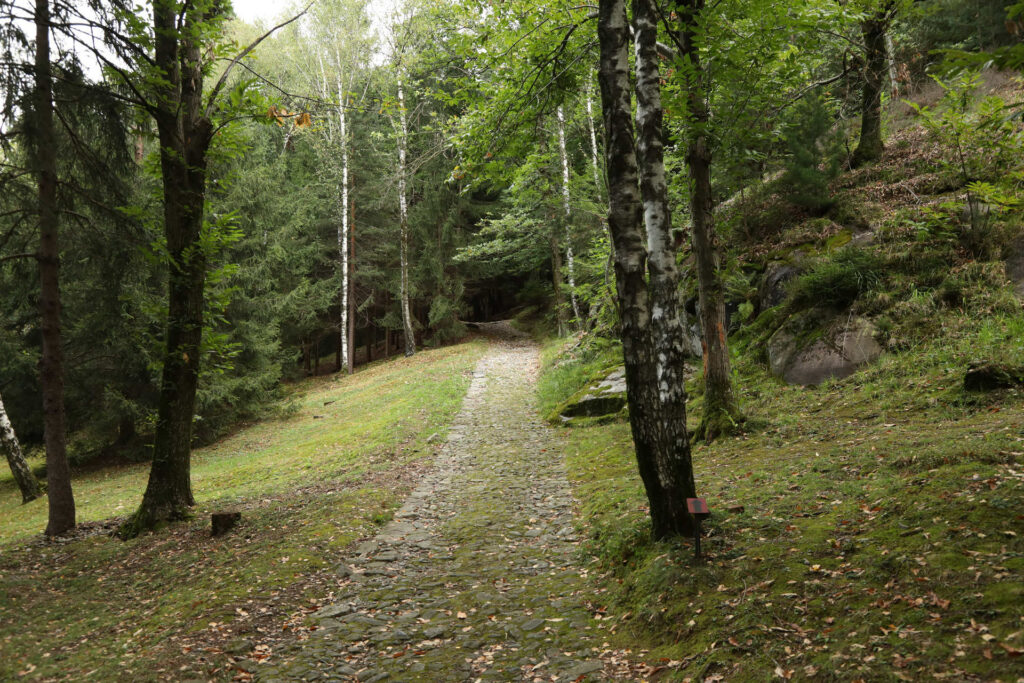 Sentiero nel bosco del Parco Nazionale delle incisioni rupestri di Valle Camonica