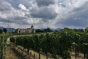 Castello di Passirano sullo sfondo di una vigna in Franciacorta