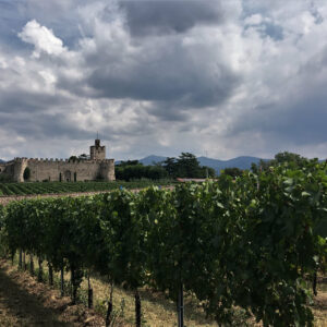 Castello di Passirano sullo sfondo di una vigna in Franciacorta