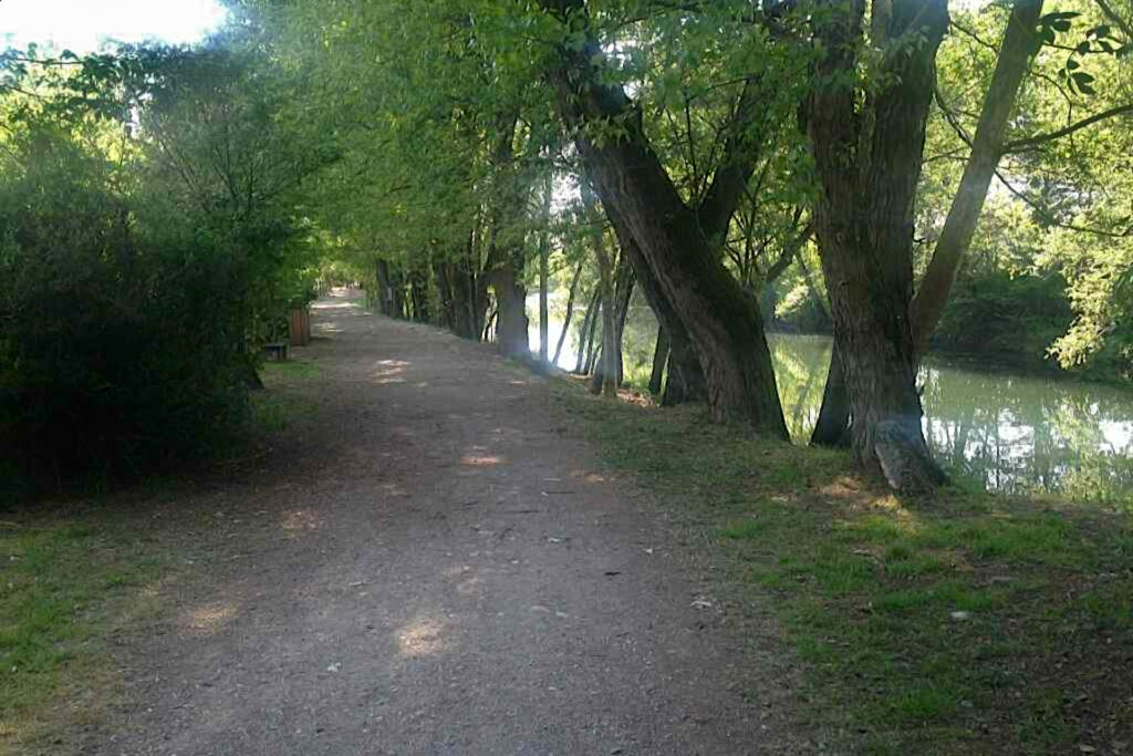 Fotografia del sentiero del parco dell'Airone lungo il fiume Chiese
