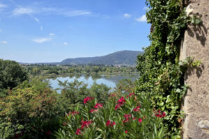 Visita guidata: Strada del Vino Franciacorta Vista sulle Torbiere del Lago d'Iseo dalla terrazza del monastero di San Pietro in Lamosa
