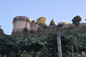 Visita guidata al Castello di Brescia con degustazione Vista del Castello dalla vigna sul lato del colle Cidneo esterno al centro storico