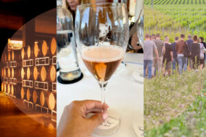 Visita guidata: Strada del Vino Franciacorta Le 3 tappe della visita in cantina
