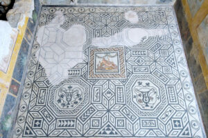Mosaico pavimentale del triclinio della Domus di Dioniso
